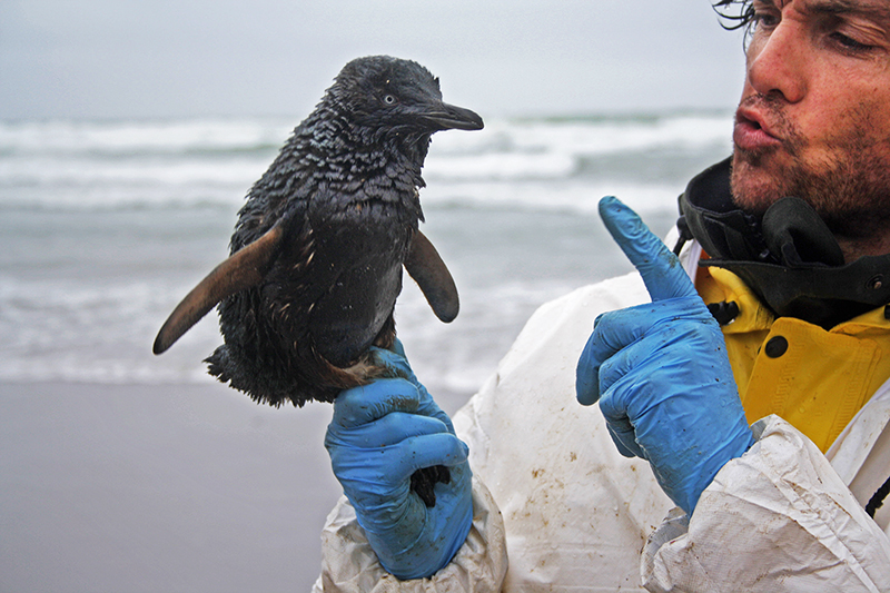 Editorial Images : Business News Photos : Richard Moore : Photographer